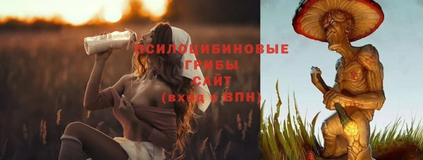 соль ск Арсеньев