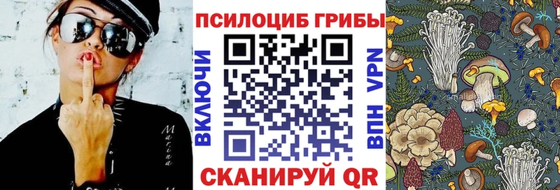 кракен сайт  Спасск-Дальний  Псилоцибиновые грибы MAGIC MUSHROOMS 