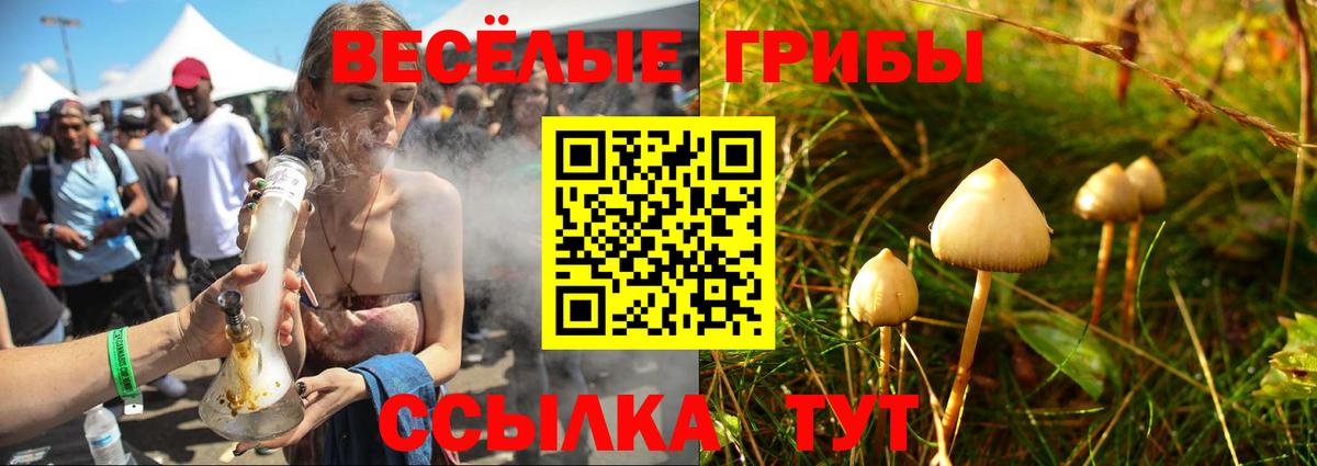 Псилоцибиновые грибы прущие грибы  Вход с VPN  Спасск-Дальний 