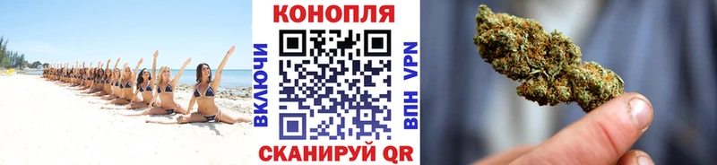 KRAKEN как войти  Спасск-Дальний  Марихуана сатива 